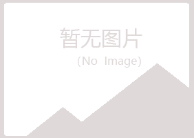 山阳区友易会计有限公司